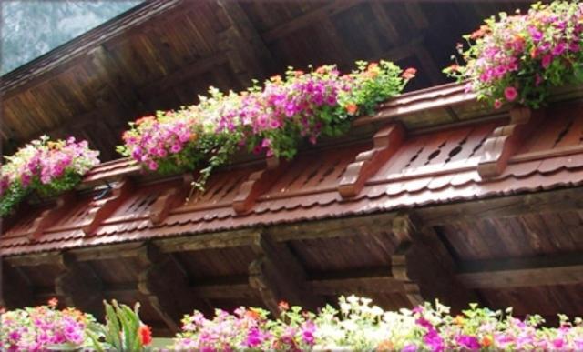 Hinterankerwald Apartment วัลช์ซี ภายนอก รูปภาพ