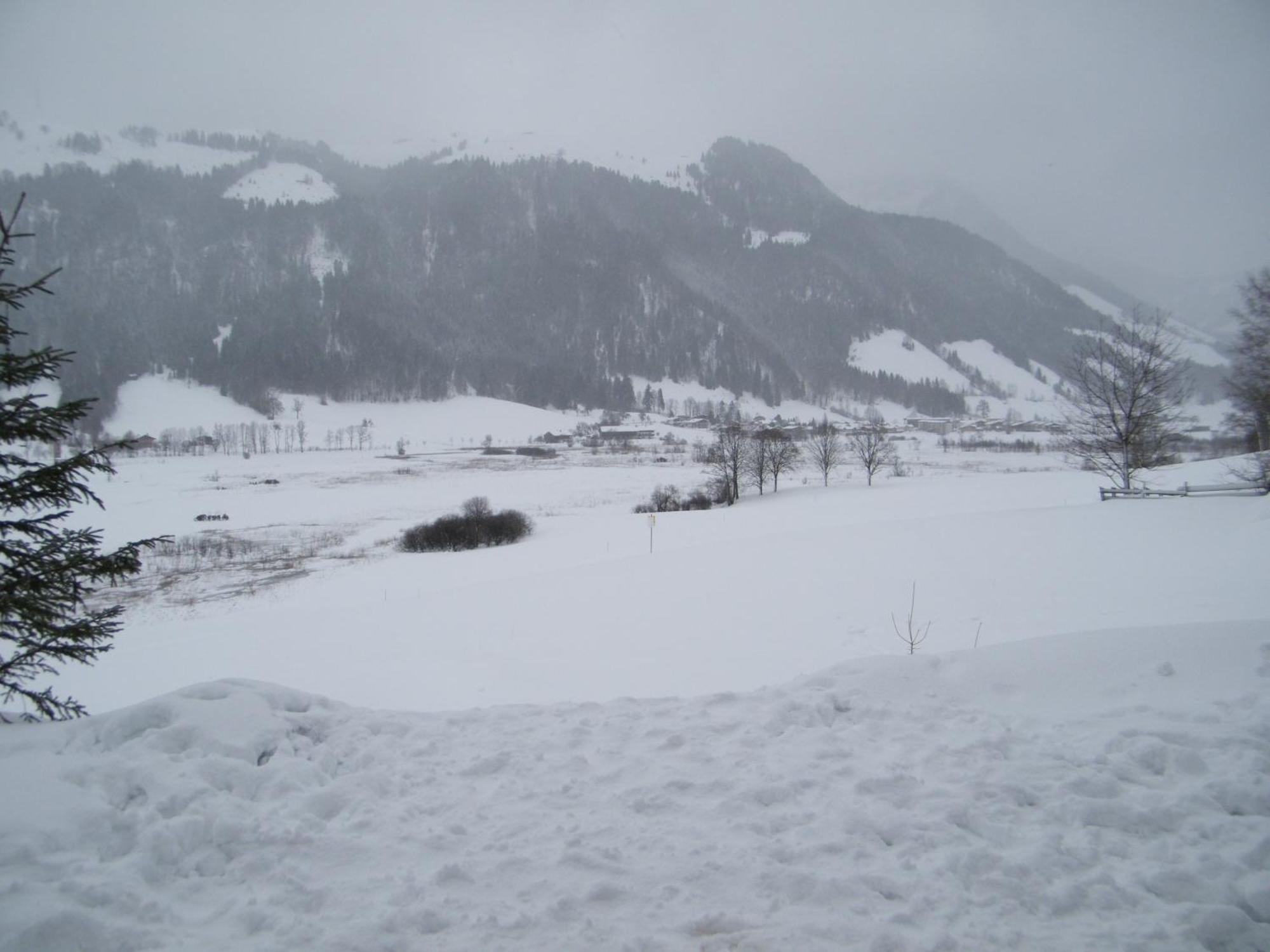 Hinterankerwald Apartment วัลช์ซี ภายนอก รูปภาพ