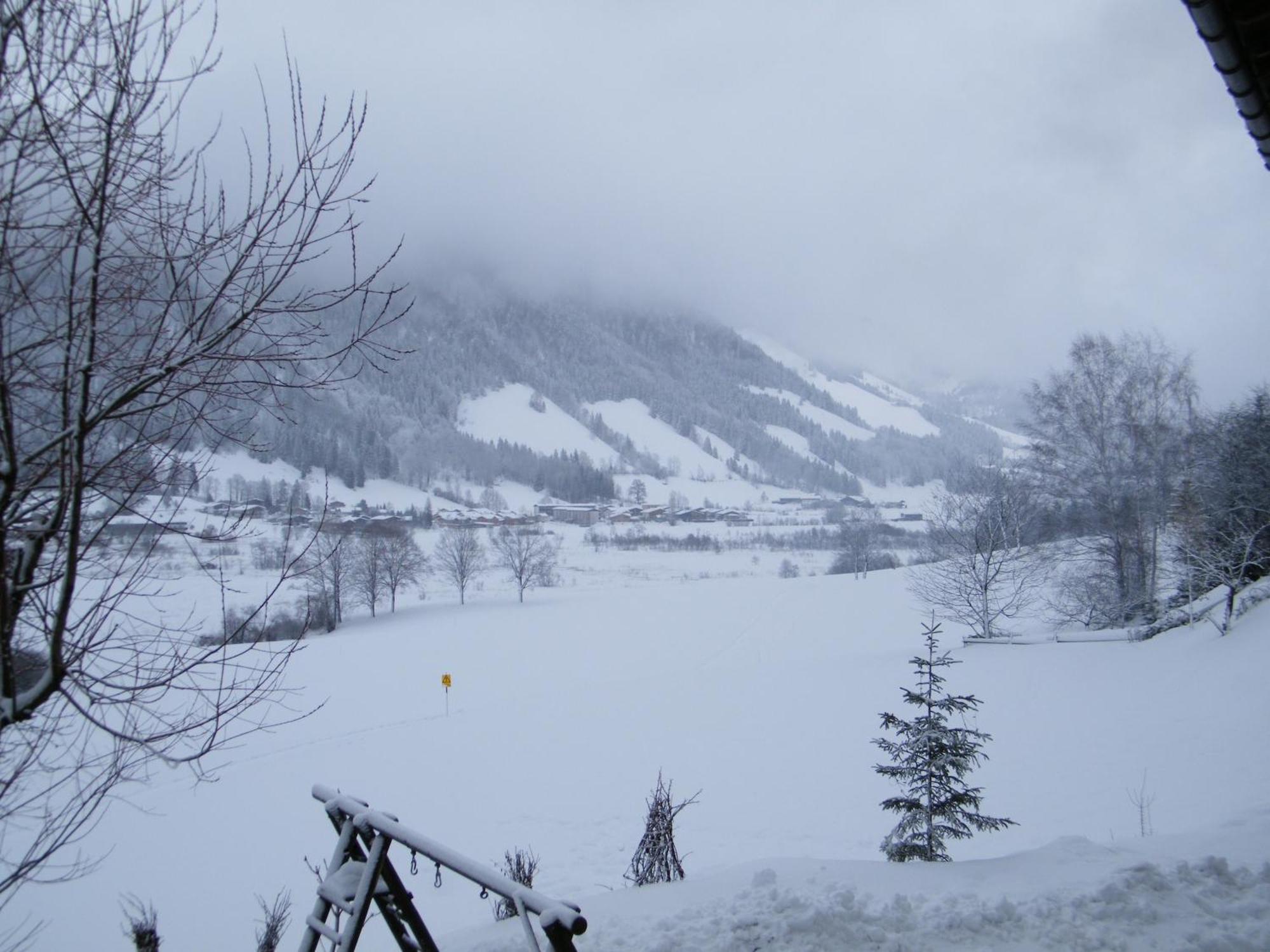Hinterankerwald Apartment วัลช์ซี ภายนอก รูปภาพ