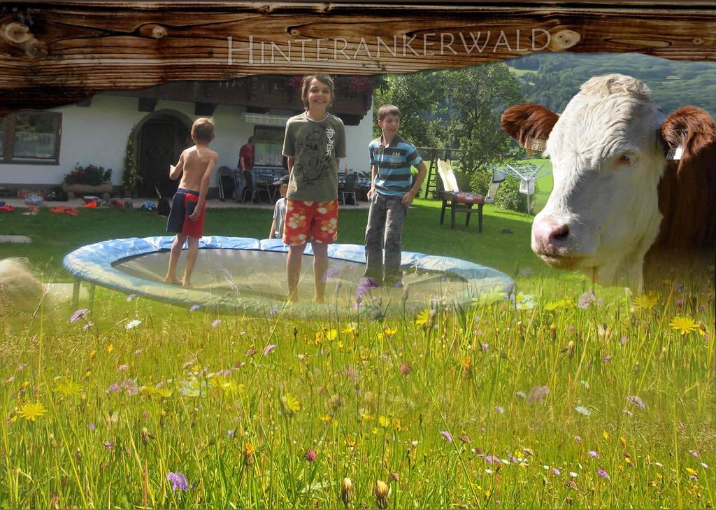 Hinterankerwald Apartment วัลช์ซี ภายนอก รูปภาพ
